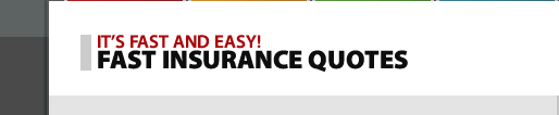 Fast Insurance Quotes